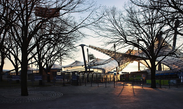 鲁媒：山东泰山开出的续约条件对瓦科而言仍具备极高的吸引力