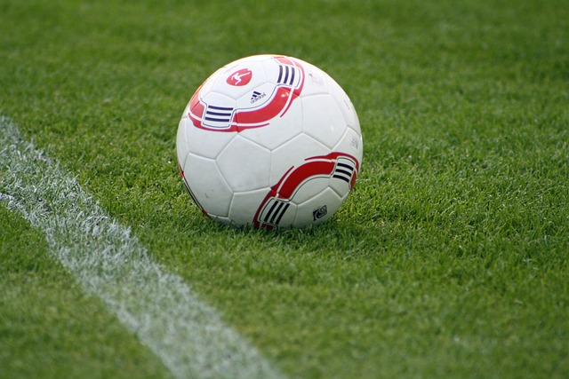 各自取得的 各自取得的