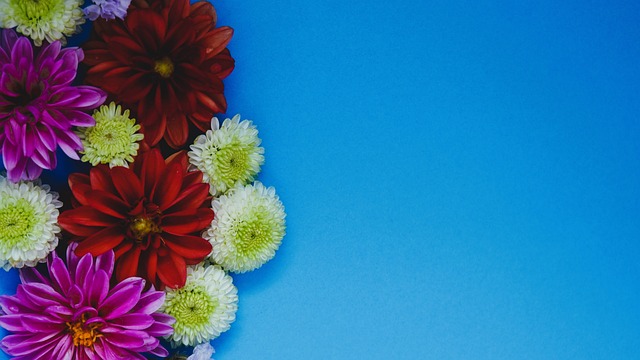 滄州雄獅憑 滄州雄獅憑