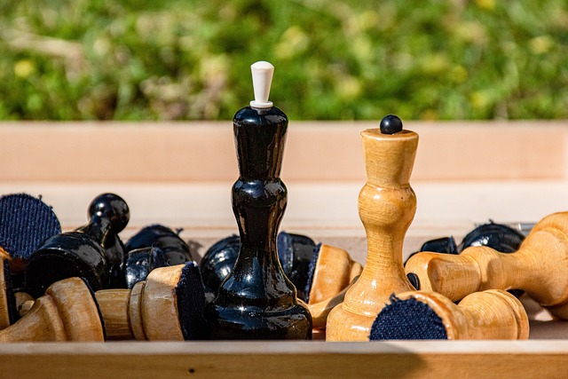 打合作的魅 打合作的魅