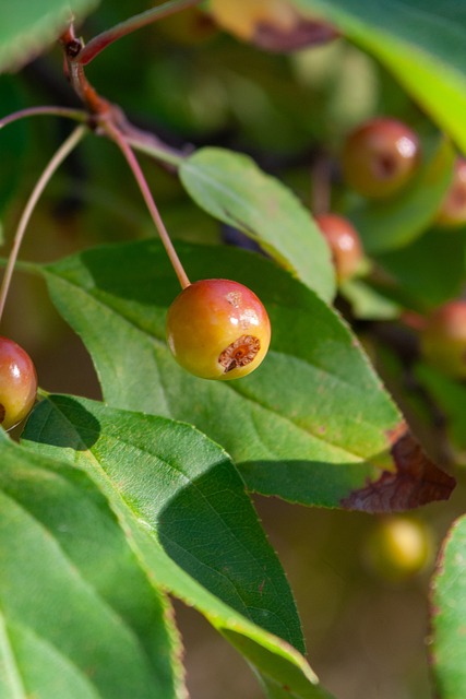 造犯规的经 造犯规的经