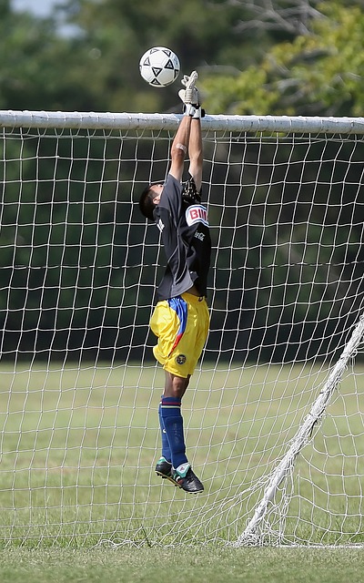 竞技体育的 竞技体育的