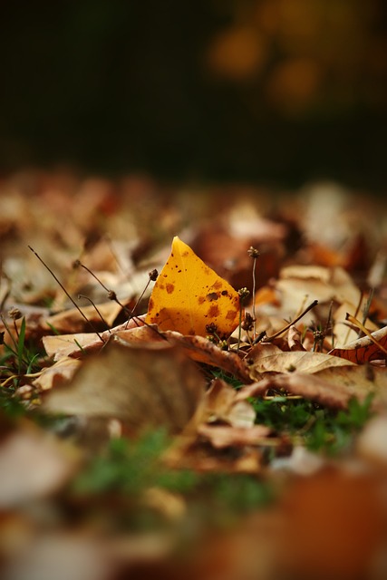 绩的因素 绩的因素