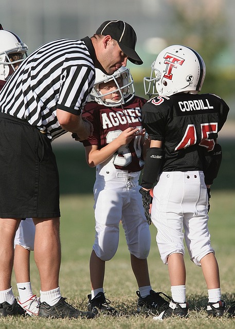 足球迷和支 足球迷和支